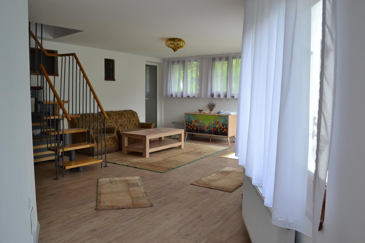فندق Casa Bota Vişeu de Sus المظهر الخارجي الصورة